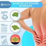 PARCHES NATURALES PARA EL DOLOR DE ESPALDA  - BACKPAIN
