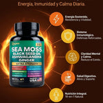 Black Seed Oil, Ashwagandha y Jengibre - Sea Moss Complex