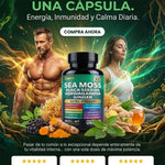 Black Seed Oil, Ashwagandha y Jengibre - Sea Moss Complex