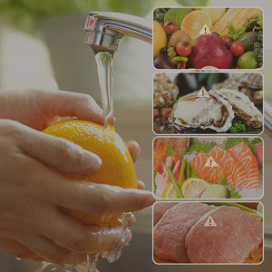 LAVADORA DE ALIMENTOS - FRUIT PRO